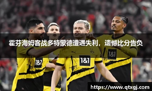 霍芬海姆客战多特蒙德遭遇失利，遗憾比分告负